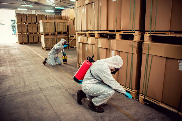 Best Pest Control Near Me  in Oak View, CA