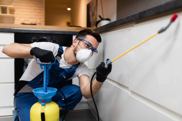 Best Pest Control for Restaurants  in Oak View, CA