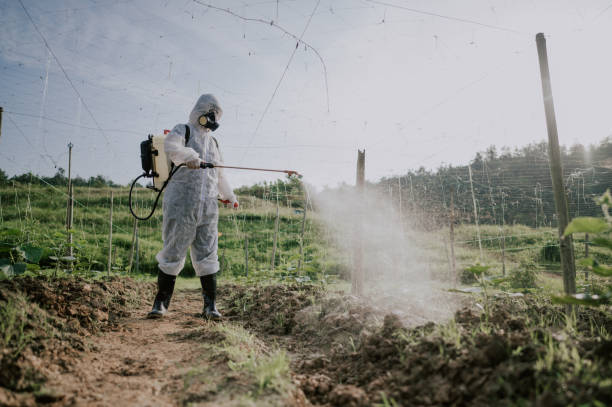 Best Commercial Pest Control Services  in Oak View, CA