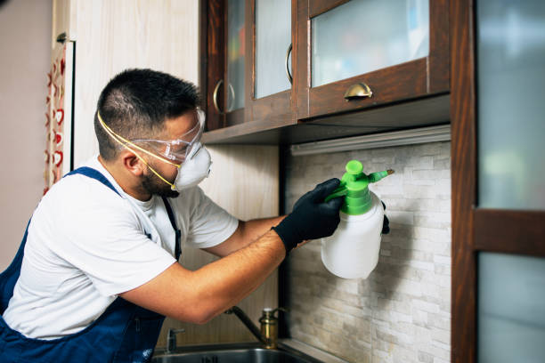 Best Residential Pest Control  in Oak View, CA