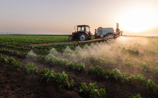 Best Mosquito Control Services  in Oak View, CA