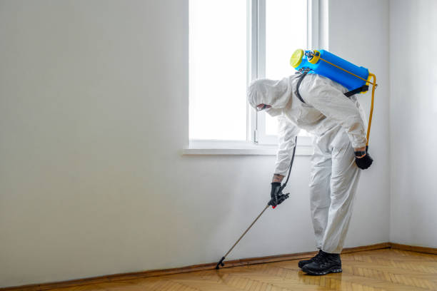 Best Bed Bug Extermination  in Oak View, CA