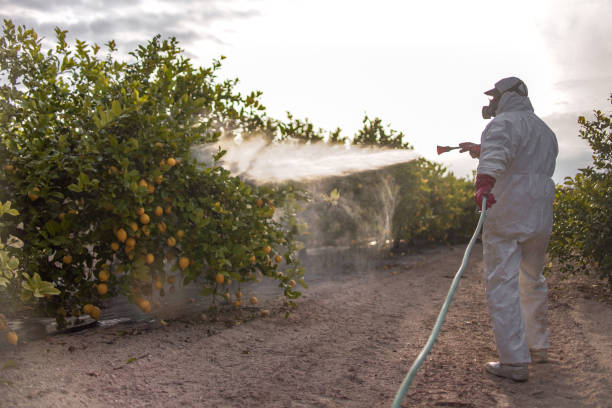 Wildlife Control Services in Oak View, CA