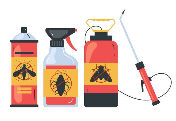 Best Termite Control Services  in Oak View, CA
