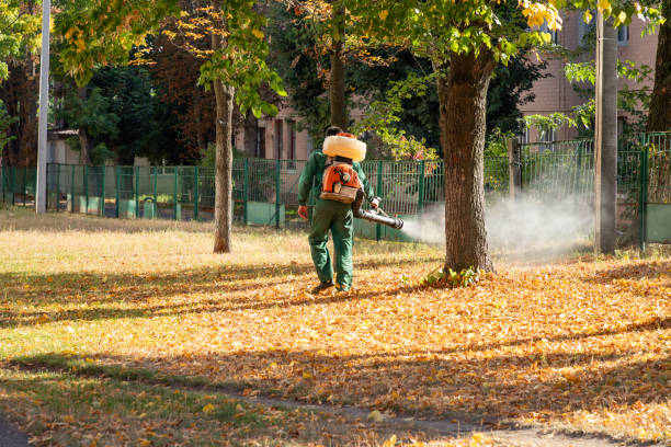 Best Wildlife Control Services  in Oak View, CA
